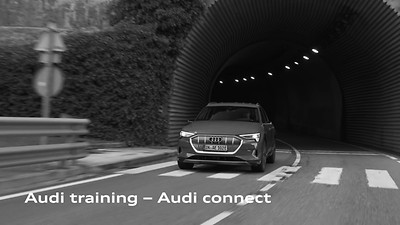 Audi connect Navigation & Infotainment